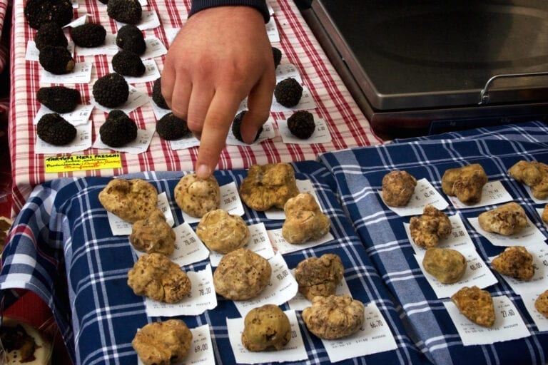 International White Truffle Fair, Alba, Piedmont, Italy, tartufo