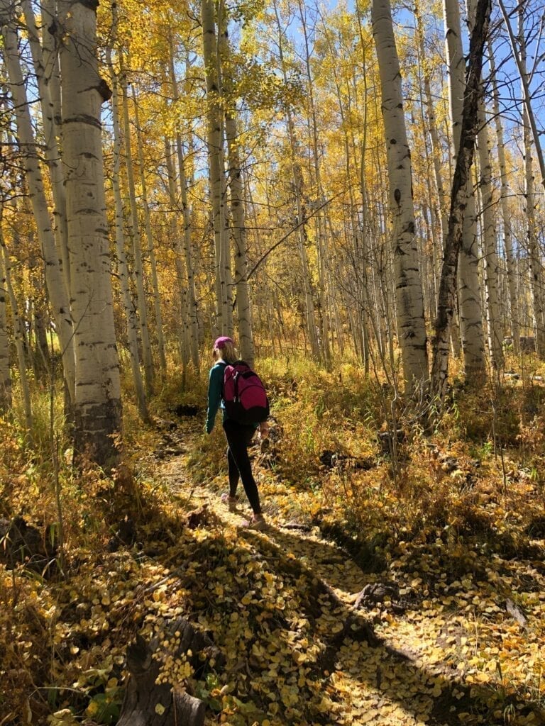 Hiking. Image by craig hellier, unsplash, fall autumn forest gold leaves