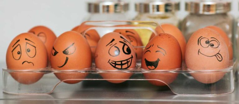Funny Egg Faces, National Egg Day