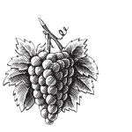 CBC logo